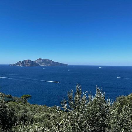 Apartment Don Luigino - Capri View By Interhome Massa Lubrense Exteriör bild